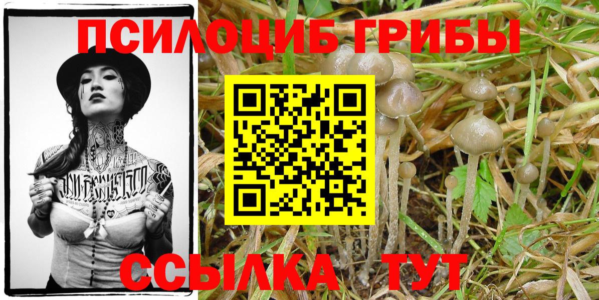 Галлюциногенные грибы Magic Shrooms  Галлюциногенные грибы Magic Shrooms  Вход с VPN  Гусиноозёрск 